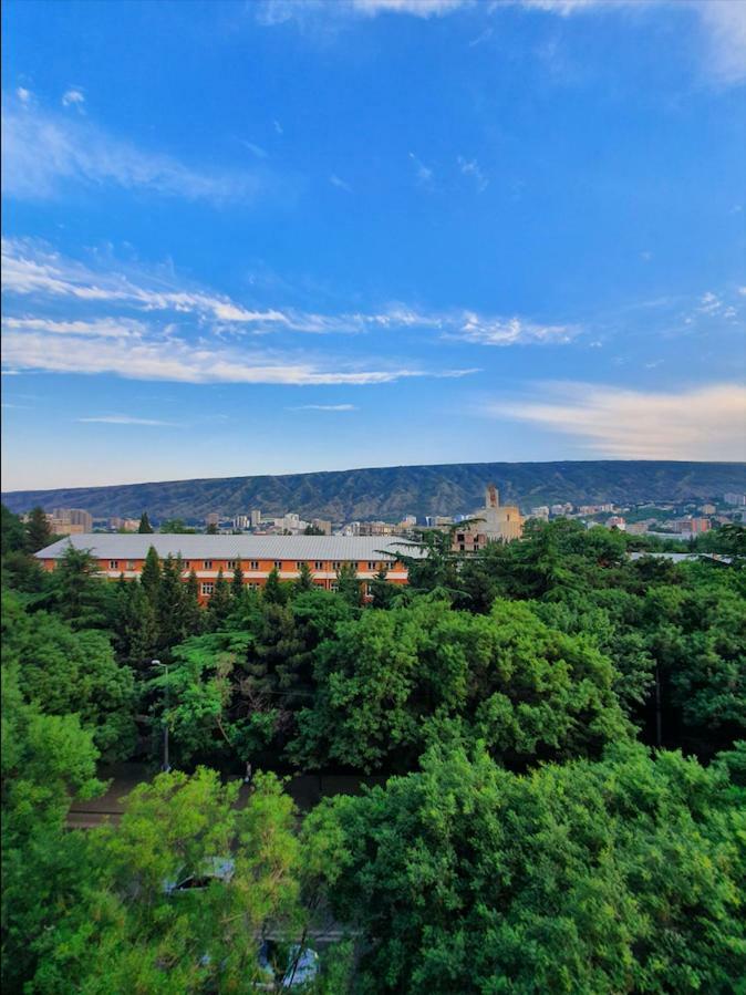 5 Rooms Near 300 Aragveli Metro Station Tbiliszi Kültér fotó